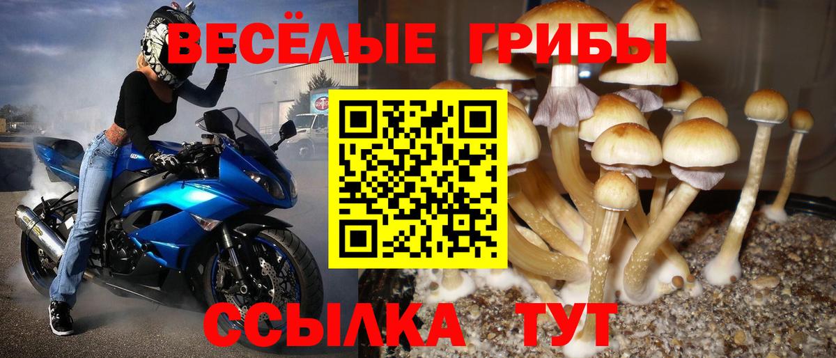 Кулебаки  купить наркотики сайты  Вход с VPN  Галлюциногенные грибы GOLDEN TEACHER 